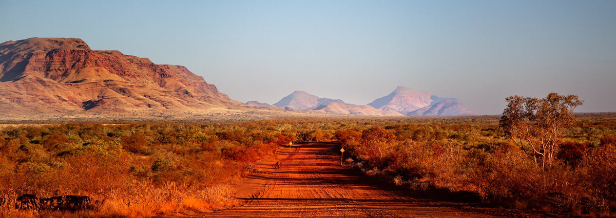 Winding dirt road through a desert landscape with mountains in the distance.