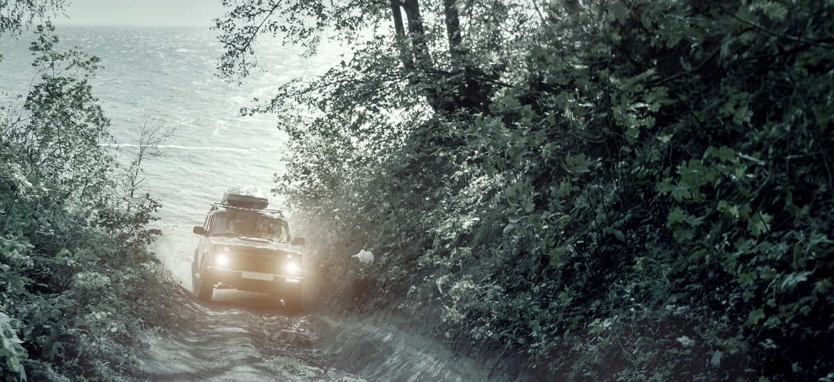 Off-road vehicle driving on a dirt road surrounded by trees