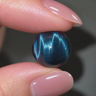 Blue Tiger Eye Twin Pixiu