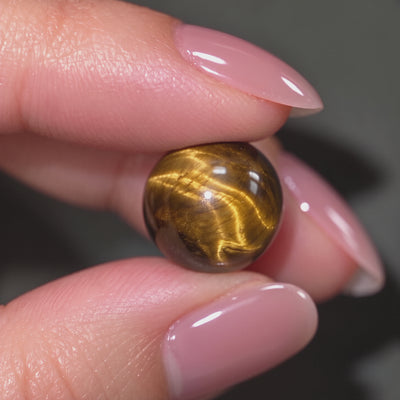 Brown Tiger Eye Twin Pixiu